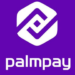 Fintechs Should Enhance Users’ Safety, Trust –Palmpay