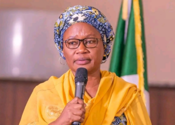 Dep Governor Advocates Development Of Bachama Land