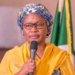 Dep Governor Advocates Development Of Bachama Land