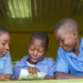 Cambridge Launches Early Years Education In Nigeria