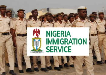 Road Crash: NIS Declares 3-Day Mourning For Deceased Officers