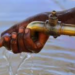 Katsina Earmarks N17bn For Water Supply