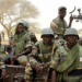Niger Republic Still In Multinational Joint Task – Spokesman