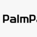 Palmpay Positioned To Lead Contactless Payment Adoption