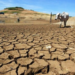 ‘Climate Change Poses Threats To Nigeria Development’