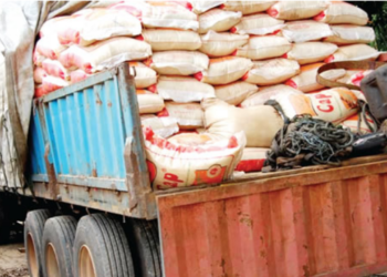 Yuletide: Customs Intercepts 13 Rice Trucks, Vehicles Worth N1.24bn