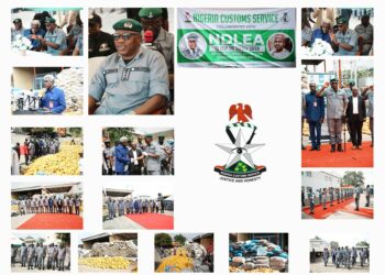 Customs, NDLEA Declare State Of Emergency On Illicit Drugs