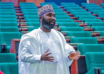 Bichi’s Capacity As House Appropriation C’ttee Chair ‘ll Make Passage Of 2024 Budget Seamless — Ugochinyere
