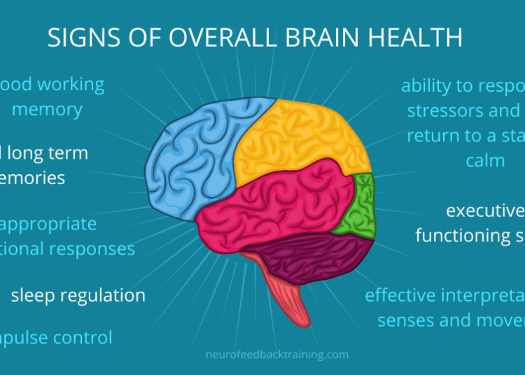 How To Keep Your Brain Healthy