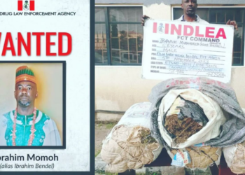 7 Years After, NDLEA Arrests Wanted Drug Kingpin