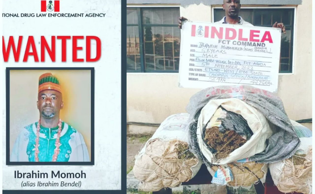 NDLEA Nabs Wanted Abuja Drug Kingpin Ibrahim Momoh