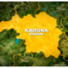 NGO Adopts UN Action Plan Against Insecurity In Kaduna