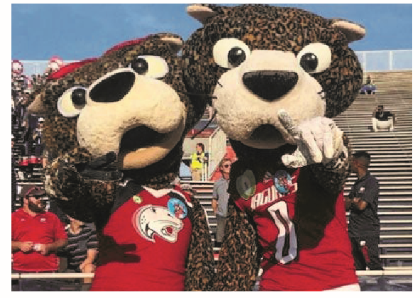 Making Income As Mascot During Yuletide Season 1 mascot