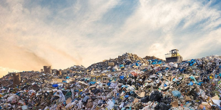 Waste Management Agency