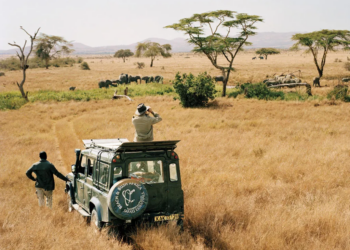 Making Money As A Travel/Tour Guide Professional
