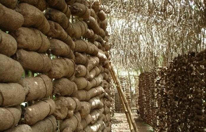 House Wants CBN, NAIC To Boost Yam Production 1 yam production