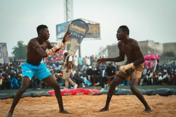 Dambe Warriors League Set To Announce Super Fight Season 2 1 418 jpeg