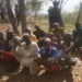 Troops Kill 14 Insurgents, Rescue Kidnap Victims, Recover Weapons In Kaduna, Niger 5 Troops Kill 14 Insurgents, Rescue Kidnap Victims, Recover Weapons In Kaduna, Niger