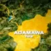 Man Kills Mother Over Alleged Witchcraft In Adamawa