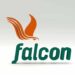 Falcon Corporation Secures N19.41bn Debt Facility 5 Falcon Corporation Secures N19.41bn Debt Facility