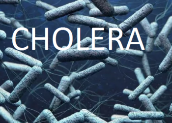 6 Die, 50 Hospitalised In Taraba Cholera Outbreak