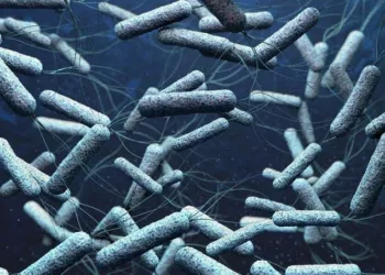 Cholera Outbreak Kills 6, 50 Others Hospitalised In Taraba