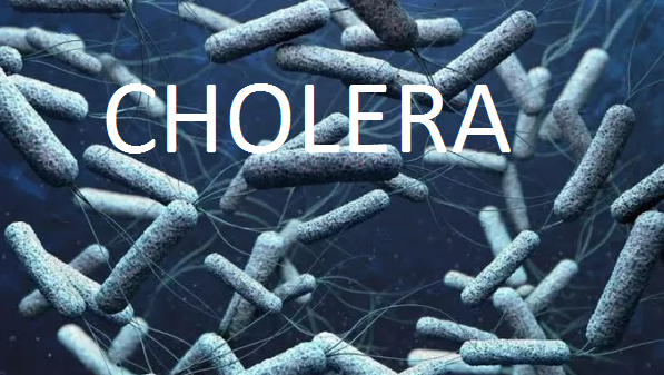 Cholera: Ekiti Puts Residents On Alert 1 Cholera