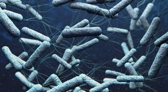 Cholera
