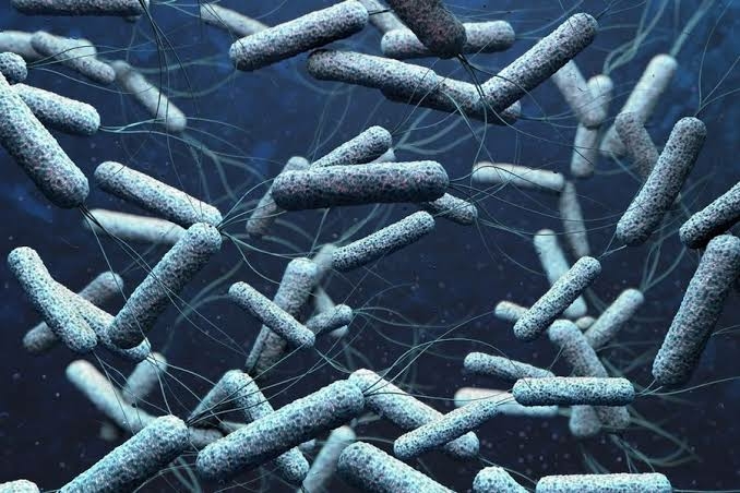 Cholera Outbreak Kills 6, 50 Others Hospitalised In Taraba 1 Cholera