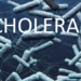 6 Die, 50 Hospitalised In Taraba Cholera Outbreak