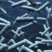 Cholera Outbreak Kills 6, 50 Others Hospitalised In Taraba 5 Cholera Outbreak Kills 6, 50 Others Hospitalised In Taraba