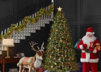 Christmas Tree Collapse Kills Woman, Injures Two In Belgium