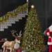 Christmas Tree Collapse Kills Woman, Injures Two In Belgium
