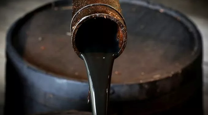 Oil