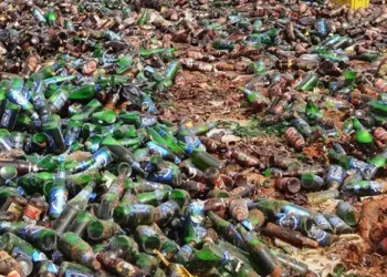 Kano Agency Seizes 4,600 Bottles Of Alcoholic Drinks