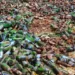 Kano Agency Seizes 4,600 Bottles Of Alcoholic Drinks 5 Kano Agency Seizes 4,600 Bottles Of Alcoholic Drinks