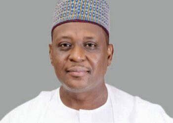 Neonatal Mortality: Nigeria Far From Meeting SDGs Target – Minister