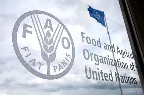 FAO Names Gadain As New Representative In Nigeria, ECOWAS 1 FAO logo jpg