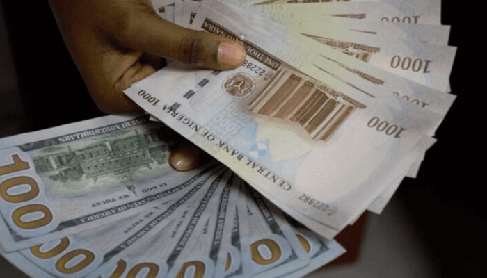 Naira Slides to Record Low, Nears Parallel Market Rate 1 IMG 3529