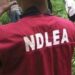 Kaduna Drug Bust: 478kg Of Illicit Substances Seized, 90 Suspects Arrested