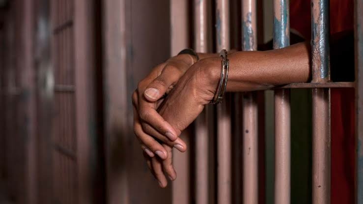 Labourer Sentenced To 7 Months For Stealing 3 Turkeys In Plateau 1 IMG 3760