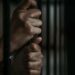 Bauchi Chief Judge Frees Varsity Student Jailed Over Failure To Repay N34,000 Loan 5 Bauchi Chief Judge Frees Varsity Student Jailed Over Failure To Repay N34,000 Loan