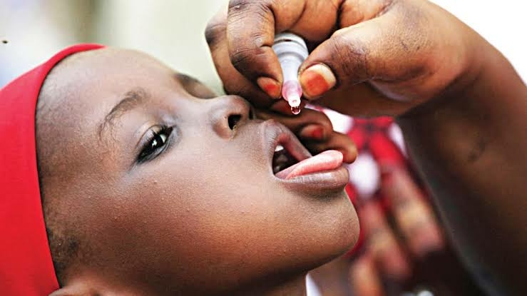 Adamawa Set For Fresh Polio Vaccination 1 IMG 3874