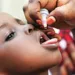 Adamawa Set For Fresh Polio Vaccination 5 Adamawa Set For Fresh Polio Vaccination