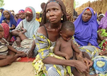 2 Million IDPs In North East Face Crucial Service Shortages