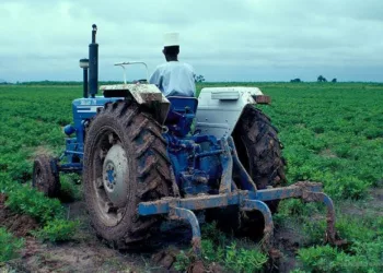 Rwanda Eyes Nigerian-Assembled Tractors For Mechanized Farming Push