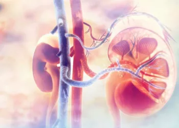 Uterus Didelphys: 5 Surprising Facts About Having Two Wombs