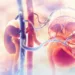 Uterus Didelphys: 5 Surprising Facts About Having Two Wombs