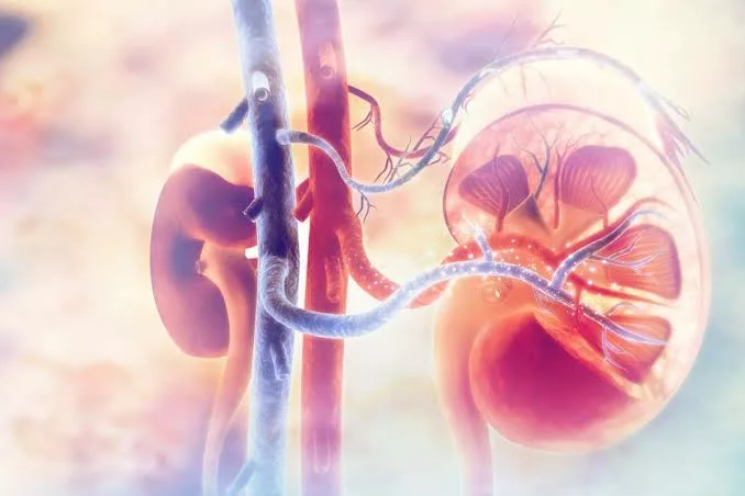 Uterus Didelphys: 5 Surprising Facts About Having Two Wombs 1 IMG 4276 jpeg