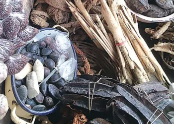 Allow Us Practise Traditional Medicine, Ogboni Fraternity Urges Government